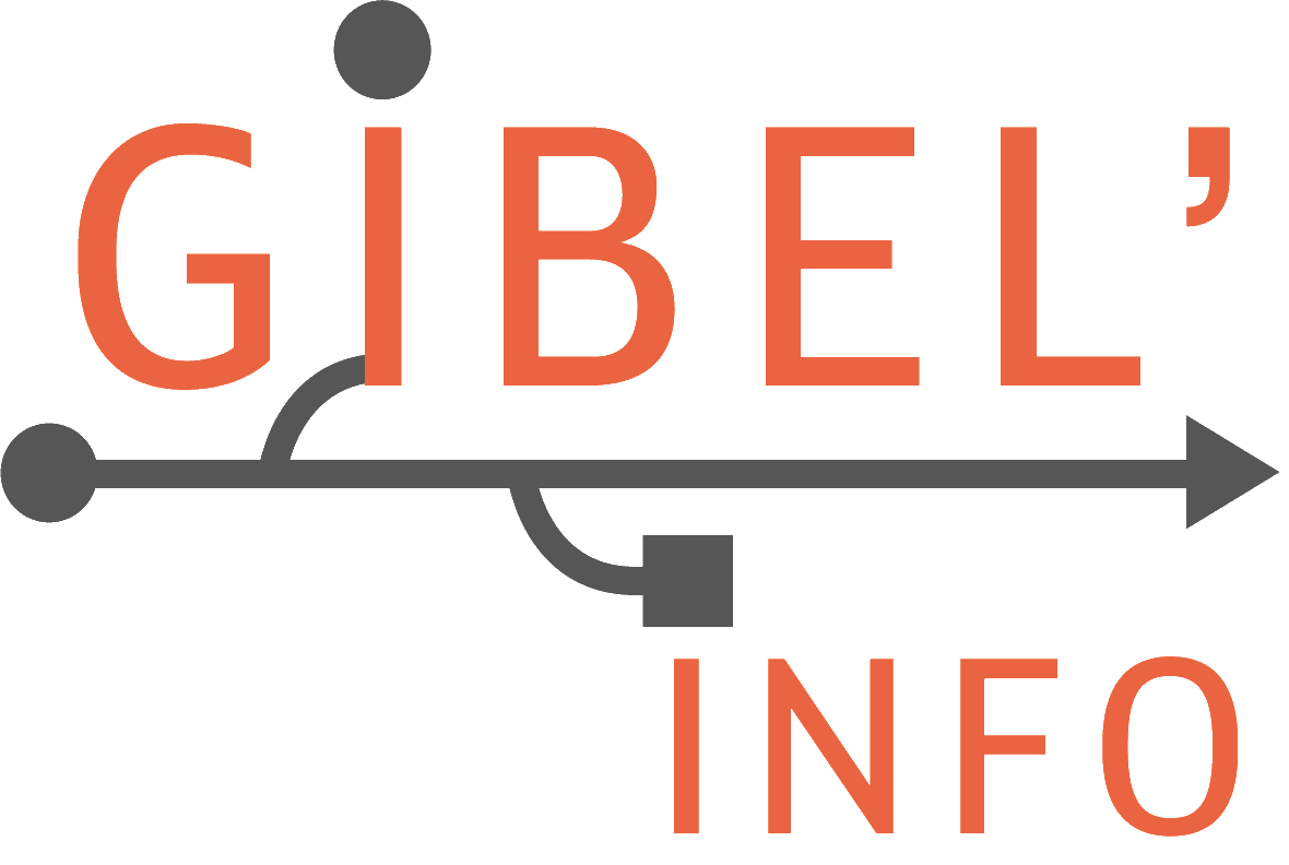 logo gibelinfo